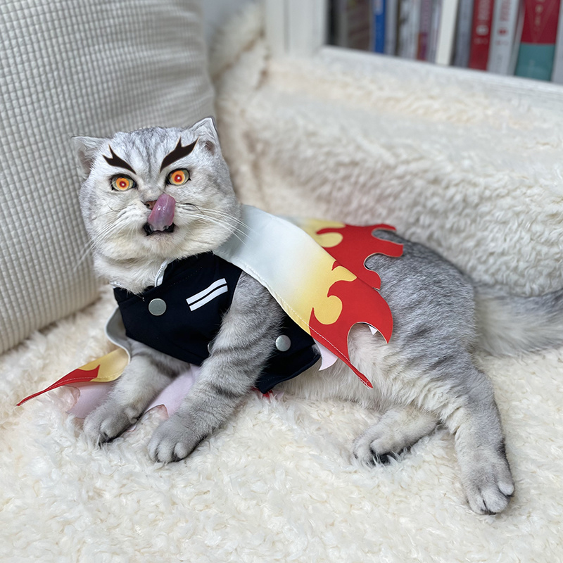 Костюм для косплея животных, р – обзор и цена Cosplay Flame Prop