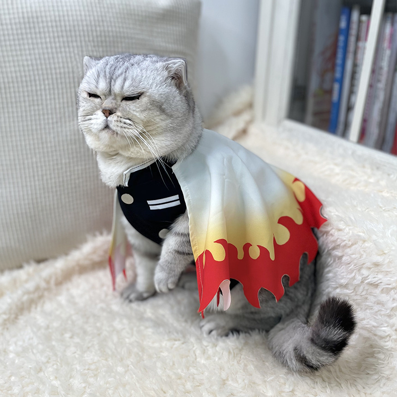 Костюм для косплея животных, р – обзор и цена Cosplay Flame Prop